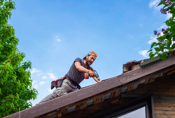 Best Roof Insulation Installation  in Wales, WI